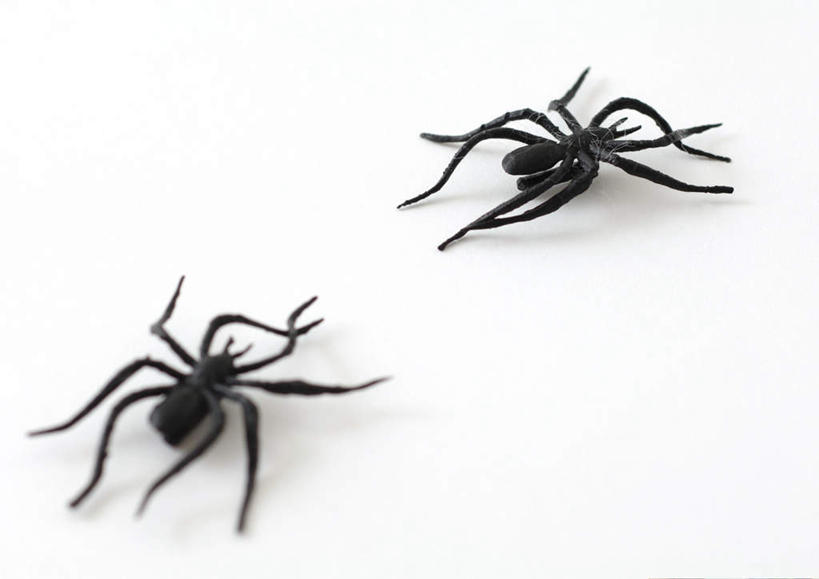 无人,横图,俯视,室内,特写,白天,白色背景,游戏,桌子,静物,玩具,蜘蛛,办公桌,玩,娱乐,两个,黑色,休闲,益智,摄影,影棚,活动,发泄,消遣,智力,宣泄,玩耍,嬉戏,彩图,高角度拍摄,影棚拍摄,拍摄