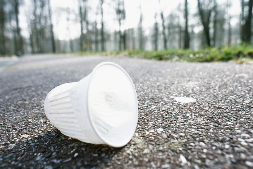 无人,横图,室外,特写,白天,仰视,森林,树林,植物,道路,路,静物,杯子,阴影,光线,影子,塑料,小路,垃圾,交通,树,树木,一个,绿色,白色,阳光,自然,塑料制品,乡间小路,生长,单个,成长,彩图,低角度拍摄