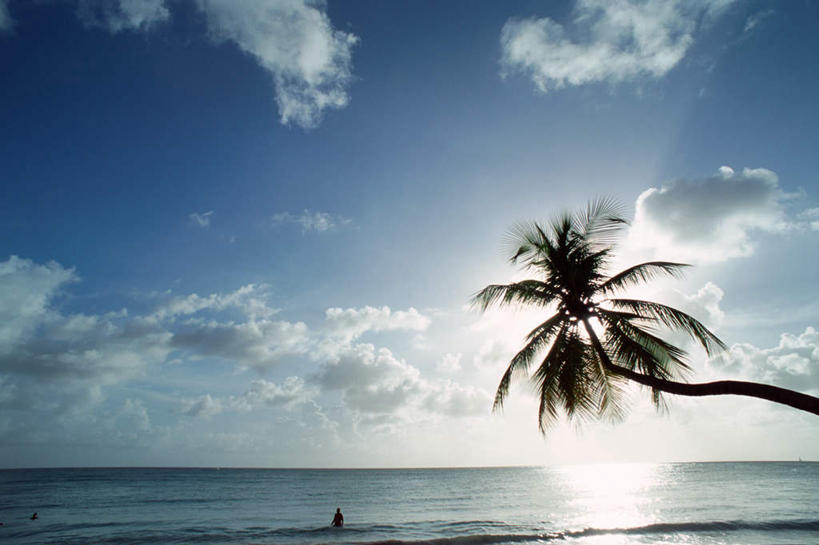 无人,横图,室外,白天,正面,旅游,度假,日出,美景,树林,太阳,植物,棕榈树,叶子,景观,云,云朵,绿叶,朝霞,晨曦,黎明,云彩,娱乐,树,树木,蓝色,绿色,白云,蓝天,天空,阳光,自然,天,享受,休闲,嫩叶,景色,放松,生长,成长,北美洲,西印度群岛,自然风光,棕榈叶,马提尼克,叶,叶片,朝阳,彩图,破晓