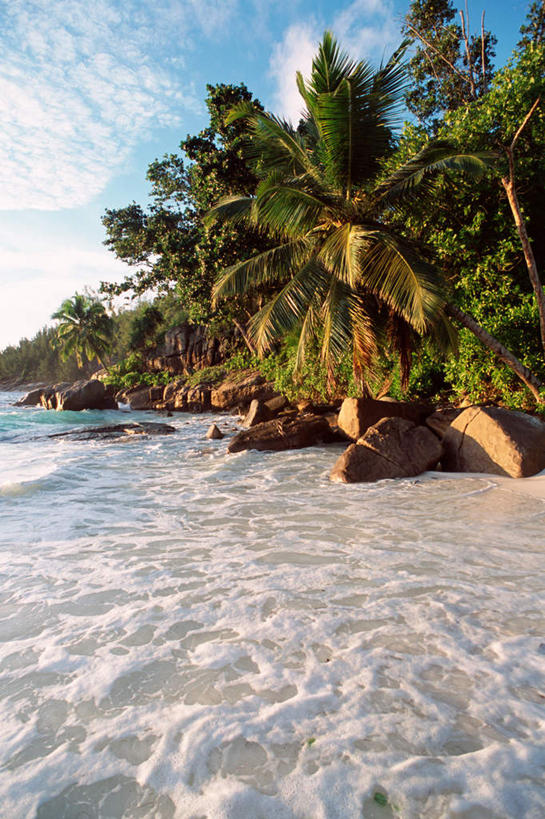 无人,竖图,室外,白天,正面,旅游,度假,美景,沙滩,树林,植物,棕榈树,叶子,非洲,塞舌尔,沙子,海岸,景观,云,云朵,绿叶,沙地,云彩,娱乐,树,树木,蓝色,绿色,白云,蓝天,天空,自然,天,享受,休闲,嫩叶,景色,放松,生长,成长,自然风光,棕榈叶,塞舌尔群岛,塞舌尔共和国,马埃岛,叶,叶片,海滩,彩图