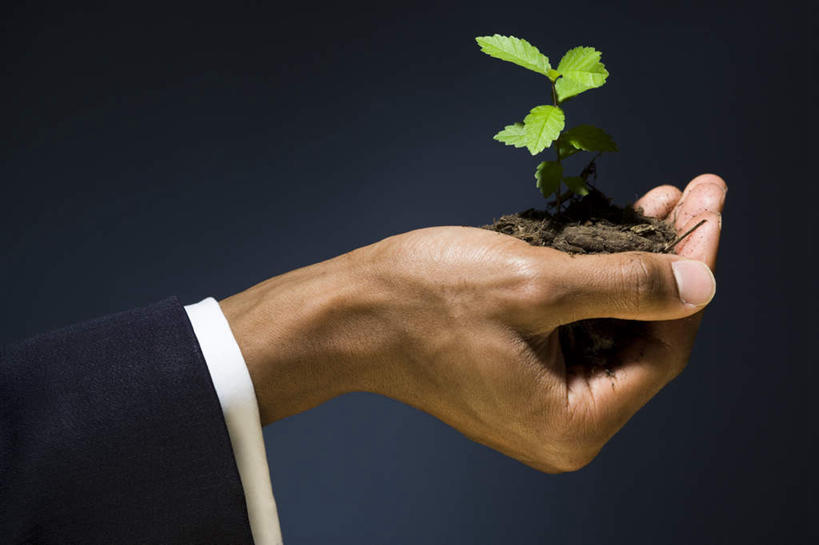 西方人,手,一个人,商务人士,商务男性,捧,横图,室内,特写,白天,侧面,衬衫,叶子,欧洲,非洲,黑人,欧洲人,双手,仅一个男性,仅一个人,黑色背景,套装,泥土,土壤,绿叶,仅一个年轻男性,绿色,手部,嫩叶,摄影,影棚,商务装,工薪阶层,秧苗,男人,男性,年轻男性,非洲人,白领,上班族,叶,叶片,端,端着,捧着,手捧,半身,彩图,影棚拍摄,衬衣,拍摄