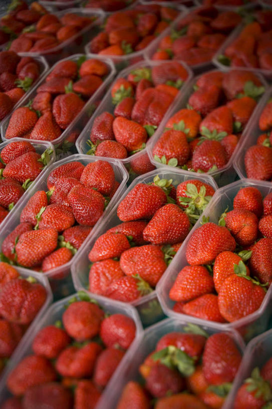 无人,菜场,竖图,俯视,室内,特写,白天,购物,消费,草莓,浆果,水果,一堆,许多,堆叠,堆积,新鲜,塑料,生食,食品,果实,集市,市场,食物,红色,容器,塑料制品,金融,有机食品,绿色食品,储藏,堆,储存,选购,贸易,菜市,洋莓,水果皇后,红莓,地莓,彩图,高角度拍摄,菜市场,贮存
