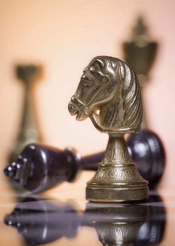 头,无人,竖图,室内,特写,白天,正面,游戏,快乐,比赛,竞争,马,静物,阴影,朦胧,模糊,反射,影子,玩,娱乐,象棋,休闲,棋子,棋盘,国际象棋,益智,摄影,影棚,活动,发泄,消遣,智力,宣泄,头部,玩耍,嬉戏,彩图,影棚拍摄,拍摄