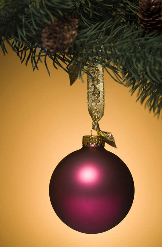 无人,竖图,室内,特写,白天,正面,静物,圣诞节,橙色背景,节日,庆祝,装饰,挂饰,丝绸,丝带,缎带,圣诞球,文化,绸带,球,一个,红色,庆典,球体,摄影,冬青,影棚,单个,纪念,希望,华丽,修饰,点缀,生命,槲寄生,冻青,衬托,美观,雅致,雅观,丰饶,彩图,影棚拍摄,拍摄