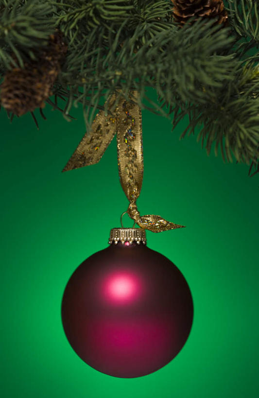 无人,竖图,室内,特写,白天,正面,静物,圣诞节,绿色背景,节日,庆祝,装饰,挂饰,丝绸,丝带,缎带,圣诞球,文化,绸带,球,一个,红色,庆典,球体,摄影,冬青,影棚,单个,纪念,希望,华丽,修饰,点缀,生命,槲寄生,冻青,衬托,美观,雅致,雅观,丰饶,彩图,影棚拍摄,拍摄