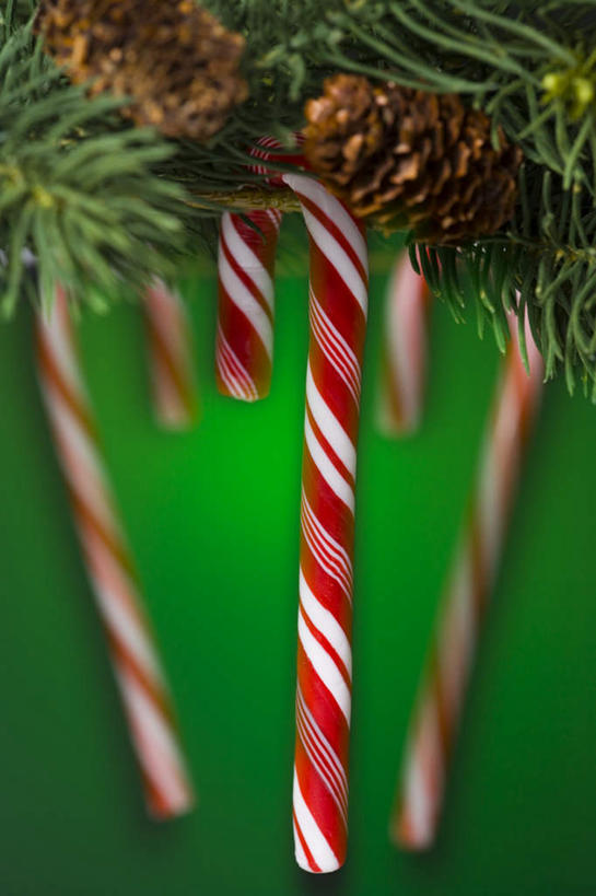 无人,竖图,室内,特写,白天,正面,叶子,圣诞节,绿色背景,节日,朦胧,模糊,庆祝,食品,糖,糖果,甜点,甜品,绿叶,文化,食物,红色,白色,甜食,庆典,嫩叶,摄影,冬青,影棚,纪念,希望,生命,硬糖,拐杖糖,槲寄生,冻青,丰饶,叶,叶片,彩图,影棚拍摄,拍摄