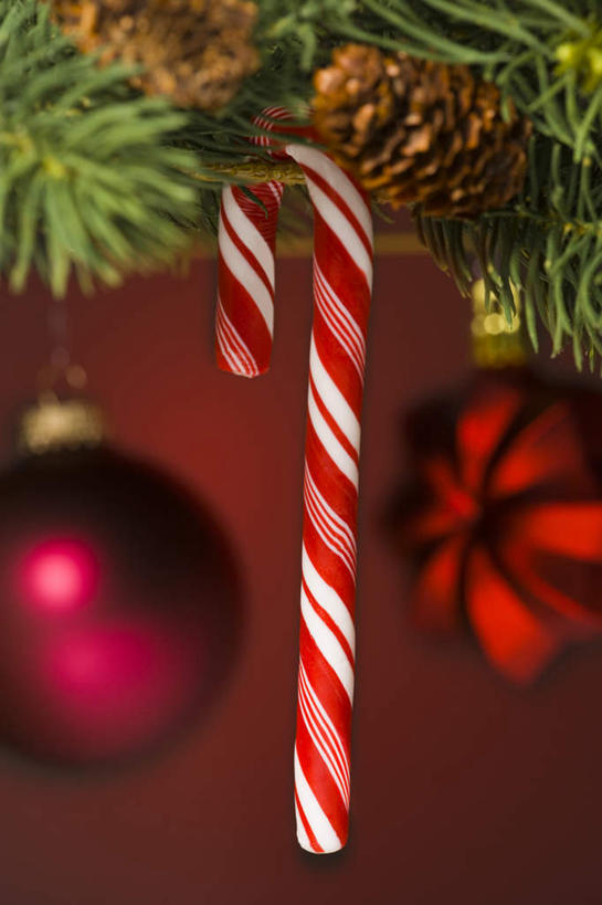 无人,竖图,室内,特写,白天,正面,叶子,圣诞节,红色背景,节日,朦胧,模糊,庆祝,装饰,挂饰,食品,糖,糖果,甜点,甜品,绿叶,圣诞球,文化,球,食物,红色,白色,甜食,庆典,球体,嫩叶,摄影,冬青,影棚,纪念,希望,华丽,修饰,点缀,生命,硬糖,拐杖糖,槲寄生,冻青,衬托,美观,雅致,雅观,丰饶,叶,叶片,彩图,影棚拍摄,拍摄