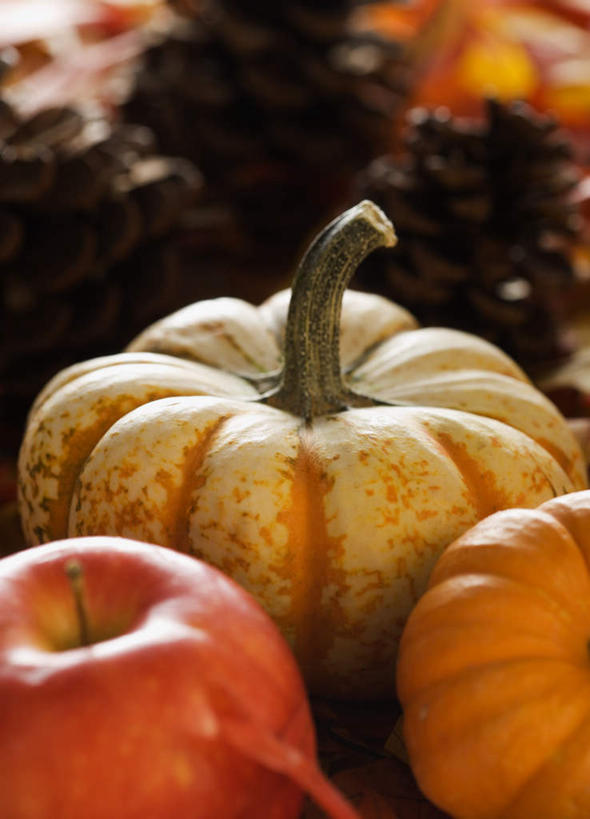 无人,竖图,俯视,室外,特写,白天,苹果,南瓜,蔬菜,节日,朦胧,模糊,庆祝,新鲜,金瓜,食品,坚果,果实,松果,文化,番瓜,食物,三个,干果,庆典,有机食品,绿色食品,纪念,麦瓜,倭瓜,松塔,感恩节,彩图,高角度拍摄