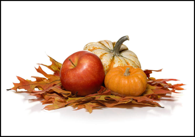 无人,横图,室内,特写,白天,白色背景,正面,苹果,南瓜,蔬菜,叶子,一堆,许多,堆叠,堆积,节日,庆祝,新鲜,金瓜,食品,枫叶,枯叶,落叶,文化,番瓜,食物,三个,黄色,红色,庆典,摄影,有机食品,绿色食品,影棚,纪念,枫树叶,堆,麦瓜,倭瓜,感恩节,叶,叶片,彩图,影棚拍摄,拍摄