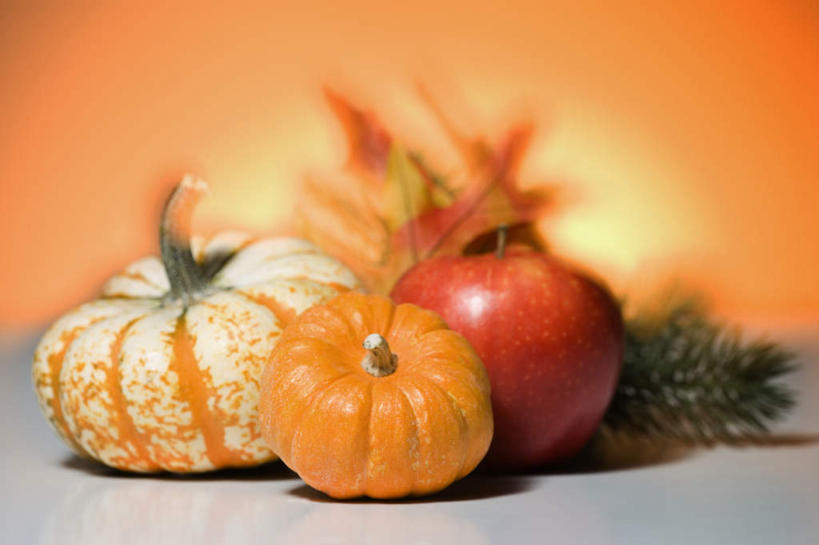 无人,横图,室内,特写,白天,正面,苹果,南瓜,蔬菜,叶子,橙色背景,节日,朦胧,模糊,庆祝,新鲜,金瓜,食品,枫叶,枯叶,落叶,文化,番瓜,食物,三个,黄色,红色,庆典,摄影,冬青,有机食品,绿色食品,影棚,纪念,希望,枫树叶,麦瓜,倭瓜,生命,感恩节,槲寄生,冻青,丰饶,叶,叶片,彩图,影棚拍摄,拍摄