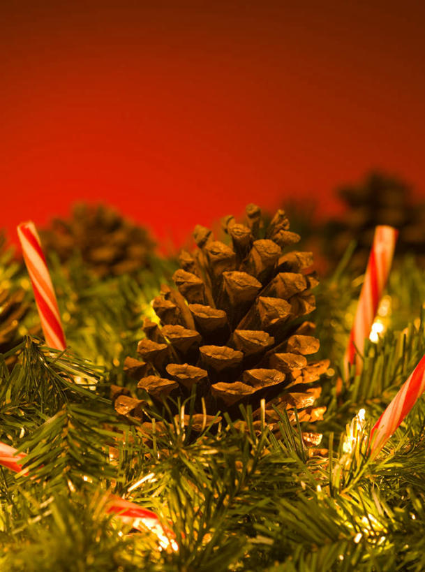 无人,竖图,俯视,室内,特写,白天,植物,照明,圣诞节,阴影,红色背景,节日,庆祝,光线,彩灯,影子,灯光,食品,糖,糖果,坚果,甜点,甜品,果实,圣诞树,松果,文化,灯,树,树木,食物,绿色,自然,灯具,甜食,干果,庆典,摄影,花灯,影棚,生长,成长,纪念,照亮,松塔,照明设备,硬糖,拐杖糖,彩图,高角度拍摄,影棚拍摄,拍摄