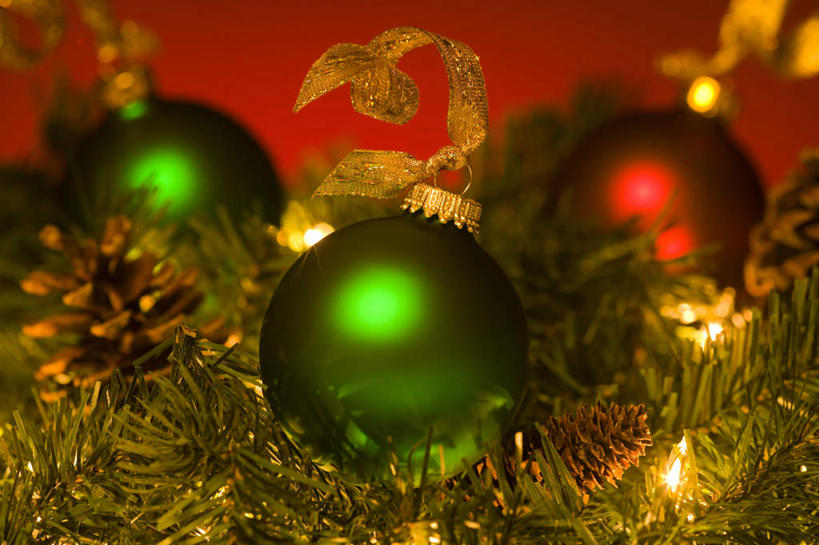 无人,横图,室内,特写,白天,正面,植物,静物,圣诞节,红色背景,节日,朦胧,模糊,庆祝,装饰,挂饰,坚果,果实,圣诞树,圣诞球,文化,球,树,树木,三个,红色,绿色,自然,干果,庆典,球体,摄影,冬青,影棚,生长,成长,纪念,希望,华丽,修饰,点缀,生命,槲寄生,冻青,衬托,美观,雅致,雅观,丰饶,彩图,影棚拍摄,拍摄