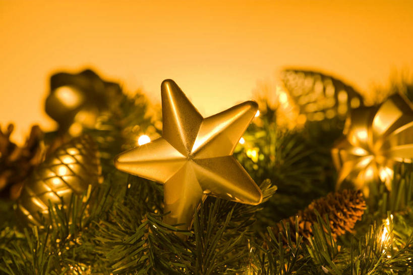 无人,横图,室内,特写,白天,正面,植物,圣诞节,阴影,黄色背景,节日,庆祝,装饰,反射,影子,星星,坚果,果实,圣诞树,文化,树,树木,绿色,自然,干果,庆典,星形,摄影,冬青,影棚,生长,成长,纪念,希望,华丽,修饰,点缀,生命,五角形,槲寄生,冻青,衬托,美观,雅致,雅观,丰饶,五角星,彩图,影棚拍摄,拍摄