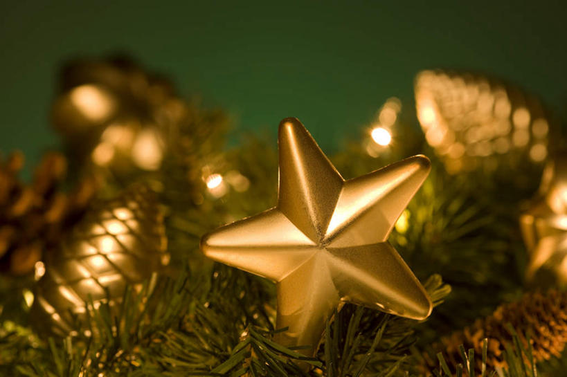 无人,横图,室内,特写,白天,正面,植物,圣诞节,绿色背景,阴影,节日,朦胧,模糊,庆祝,装饰,反射,影子,星星,坚果,果实,圣诞树,文化,树,树木,绿色,自然,干果,庆典,星形,摄影,冬青,影棚,生长,成长,纪念,希望,华丽,修饰,点缀,生命,五角形,槲寄生,冻青,衬托,美观,雅致,雅观,丰饶,五角星,彩图,影棚拍摄,拍摄