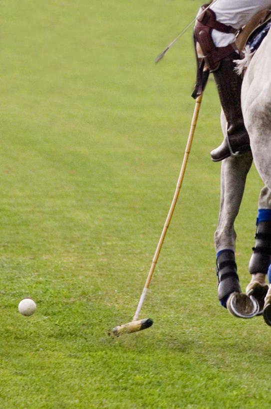 西方人,一个人,竖图,室外,白天,侧面,运动服,锻炼,旅游,度假,运动,草地,草坪,植物,马,野生动物,鞋子,欧洲,欧洲人,仅一个男性,仅一个人,仅一个中年男性,阴影,服装,光线,影子,娱乐,运动器械,靴子,一匹,座位,马鞍,草,衣服,绿色,阳光,动物,享受,休闲,健身器械,放松,运输,服饰,牲畜,衣着,穿着,室外运动,牛仔靴,健身器材,户外运动,马球,衣饰,打毬,击鞠,马具,男人,男性,中年男性,白种人,半身,彩图,健身,运动器材,运动装