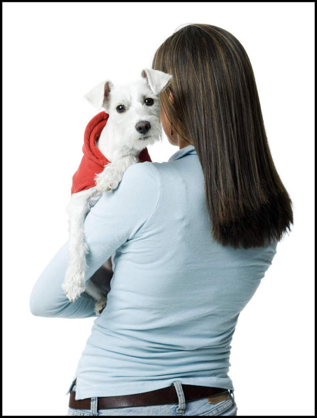 西方人,一个人,站,抱,竖图,室内,白天,白色背景,宠物,狗,欧洲,欧洲人,仅一个年轻女性,仅一个女性,仅一个人,服装,裤子,梗犬,牛仔裤,休闲装,一只,背面,衣服,动物,站着,休闲,休闲服,可爱,摄影,服饰,影棚,抱着,西高地白梗,搂着,忠诚,年轻女性,女人,女性,白种人,犬,怀抱,搂,搂抱,相抱,拥抱,站立,半身,彩图,影棚拍摄,拍摄,西部高地白梗