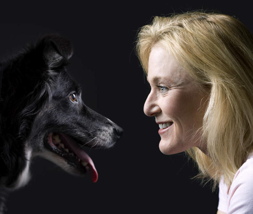 西方人,头,一个人,笑,微笑,横图,室内,特写,白天,侧面,宠物,狗,欧洲,欧洲人,仅一个女性,仅一个人,服装,注视,休闲装,相视,一只,衣服,黑色,动物,观察,看,张嘴,仅一个中年女性,休闲,面对面,休闲服,可爱,服饰,牧羊犬,观看,对视,察看,互视,关注,相对,张大嘴巴,边境牧羊犬,忠诚,相看,边境柯利牧羊犬,博德牧羊犬,女人,女性,中年女性,白种人,头部,张开嘴,犬,半身,彩图