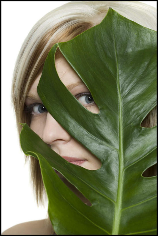 西方人,脸,头,脸颊,一个人,竖图,室内,特写,白天,白色背景,正面,植物,叶子,欧洲,欧洲人,仅一个年轻女性,仅一个女性,仅一个人,一片,纹理,绿叶,注视,绿色,观察,看,嫩叶,摄影,影棚,观看,察看,关注,偷窥,肌理,窃看,窃视,年轻女性,女人,女性,白种人,头部,脸部,脸蛋,面部,叶,叶片,叶脉,半身,彩图,影棚拍摄,拍摄