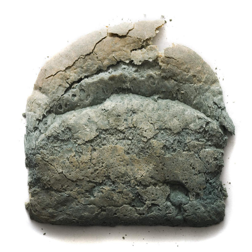 点心,面包,无人,方图,室内,特写,白天,白色背景,正面,一块,发霉,食品,面点,食物,糕点,摄影,影棚,腐烂,毁坏,彩图,影棚拍摄,拍摄