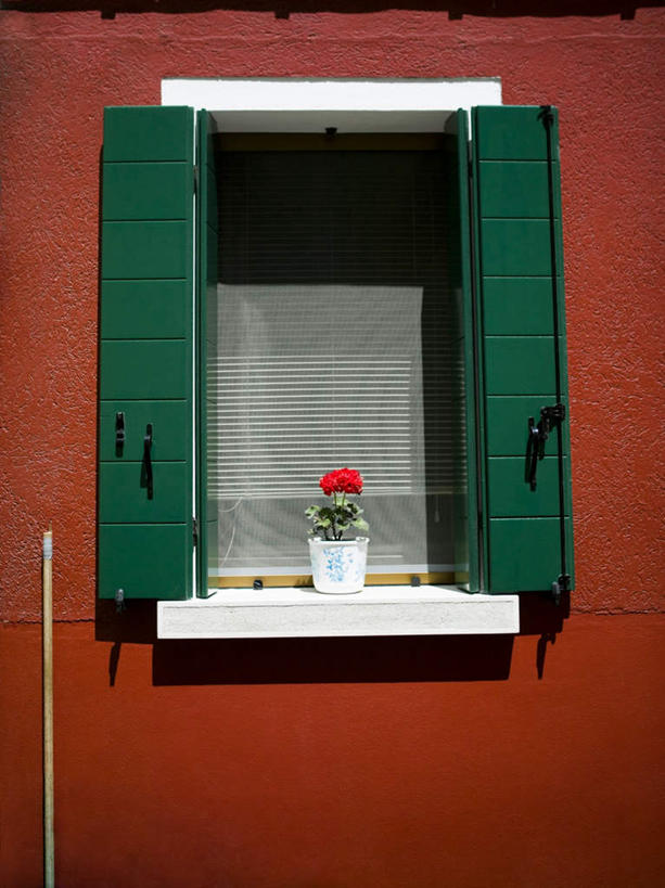 无人,家,竖图,室外,白天,正面,度假,美景,植物,窗户,城市风光,城市,意大利,欧洲,威尼斯,阴影,盛开,光线,盆栽,影子,房屋,墙,屋子,景观,盆景,花蕾,娱乐,楼房,玻璃窗,墙壁,墙面,住宅,花,花瓣,花朵,鲜花,红色,绿色,阳光,自然,花苞,花蕊,享受,休闲,景色,放松,生长,成长,南欧,意大利共和国,布拉诺岛,彩图,房子