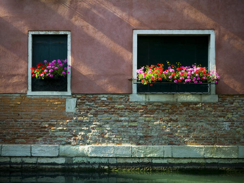 无人,家,横图,室外,白天,正面,度假,美景,植物,窗户,城市风光,城市,意大利,欧洲,威尼斯,盛开,盆栽,房屋,墙,屋子,景观,公寓,盆景,花蕾,娱乐,洋房,楼房,玻璃窗,墙壁,墙面,住宅,花,花瓣,花朵,鲜花,绿色,自然,花苞,花蕊,享受,休闲,景色,放松,生长,成长,南欧,意大利共和国,布拉诺岛,彩图,房子
