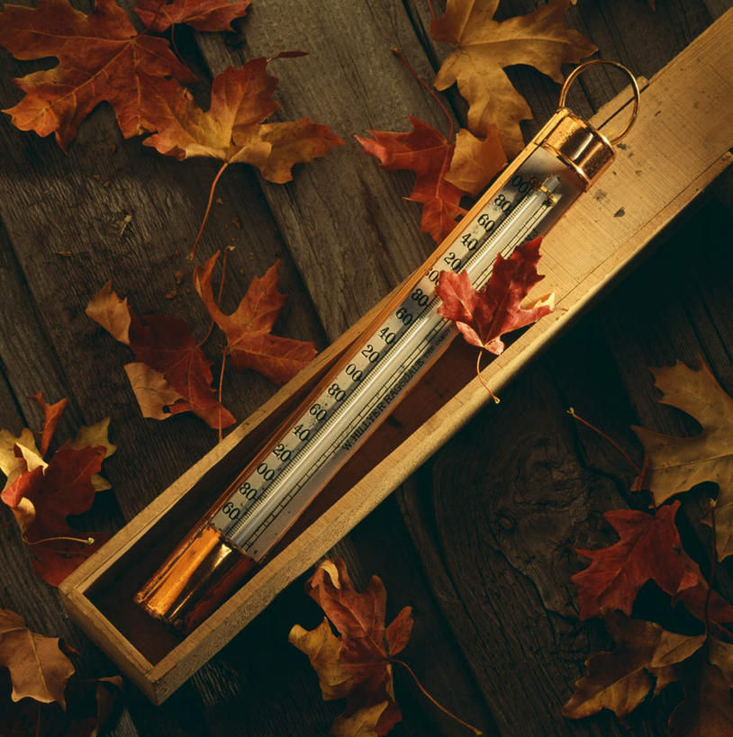 无人,竖图,俯视,室外,特写,白天,旅游,度假,美景,生活用品,叶子,许多,医学,测量,器材,温度计,刻度,景观,绿叶,很多,娱乐,玻璃制品,排列,一个,自然,体温计,享受,休闲,嫩叶,景色,放松,单个,快速,温度,感冒,医疗,准确,体温,精度,自然风光,精准,发烧,水银温度计,流感,物理,水银体温计,水银柱,缩口,玻璃体温计,玻璃温度计,医用温度计,摆列,叶,叶片,彩图,高角度拍摄,布列,分列