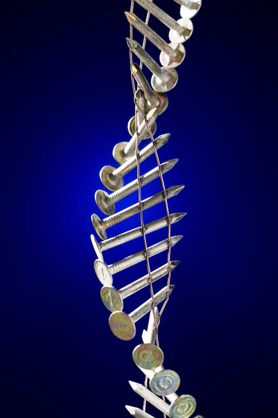 无人,竖图,室内,特写,白天,正面,静物,金属制品,一排,许多,蓝色背景,整齐,环绕,缠绕,科学,基因,金属,钉子,很多,排列,生物,摄影,影棚,遗传,五金,脱氧核糖核酸,紧固,队列,纠缠,牢固,DNA分子,去氧核糖核酸,遗传信息,遗传因子,遗传学,彩图,影棚拍摄,拍摄,稳固