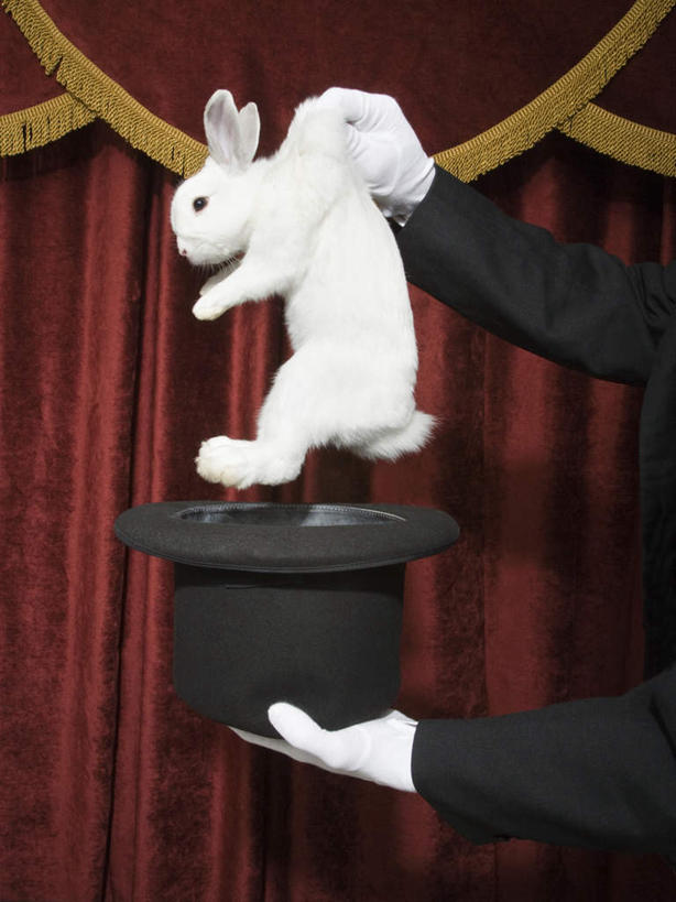 西方人,手,一个人,无人,魔术师,舞台,站,捧,竖图,室内,特写,白天,侧面,衬衫,西装,安全,哺乳动物,帽子,欧洲,欧洲人,仅一个男性,仅一个人,套装,正装,兔子,防护,拎,注视,职业装,礼帽,仅一个年轻男性,一只,红色,白色,动物,手套,观察,看,站着,手部,帷幕,观看,保护,单手,兔,察看,魔术,魔术棒,变戏法,关注,帷幔,保险,幕布,幕帘,保全,周全,安稳,安定,一顶,防护手套,帷幔布,平安,男人,男性,年轻男性,白种人,魔术大师,表演台,端,端着,捧着,手捧,站立,半身,彩图,衬衣,拎着