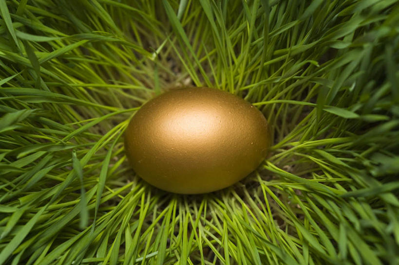 无人,横图,俯视,室外,特写,白天,草地,草坪,植物,叶子,阴影,反射,影子,蛋,绿叶,草,一个,绿色,金色,嫩叶,储蓄,单个,储存,积累,卵,储备,积储,积聚,叶,叶片,彩图,高角度拍摄