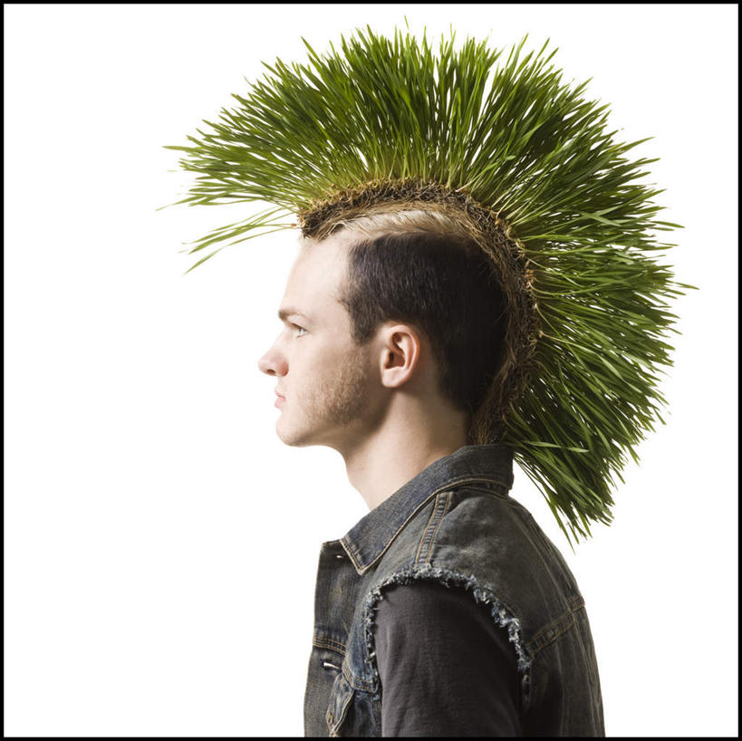 西方人,脸,头,脸颊,头发,一个人,站,横图,室内,特写,白天,白色背景,侧面,植物,欧洲,欧洲人,仅一个男性,仅一个人,一排,许多,服装,整齐,棕色,很多,注视,休闲装,肩膀,草,排列,仅一个年轻男性,衣服,绿色,灰色,观察,看,站着,休闲,休闲服,摄影,服饰,影棚,观看,察看,队列,关注,莫西干头,莫西干发型,莫西干头型,男人,男性,年轻男性,白种人,头部,直发,脸部,脸蛋,面部,站立,半身,彩图,影棚拍摄,拍摄,短发