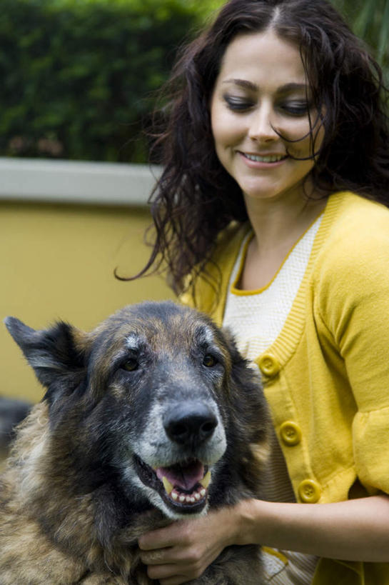 西方人,一个人,坐,笑,摸,微笑,竖图,室外,白天,正面,植物,宠物,狗,欧洲,欧洲人,仅一个年轻女性,仅一个女性,仅一个人,抚摸,服装,朦胧,模糊,注视,休闲装,树,树木,一只,衣服,黄色,绿色,自然,动物,观察,看,休闲,休闲服,可爱,服饰,生长,牧羊犬,成长,观看,察看,德国牧羊犬,关注,忠诚,德国狼犬,黑背,年轻女性,女人,女性,白种人,犬,触摸,接触,坐着,半身,彩图