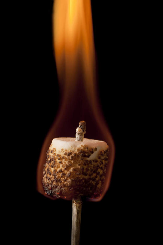 无人,竖图,室内,白天,正面,热情,植物,火,阴影,黑色背景,反射,火焰,影子,草药,药草,燃烧,中药,一个,摄影,影棚,单个,止咳,药材,中草药,药蜀葵,中药材,本草,解毒,利尿,消炎,彩图,影棚拍摄,拍摄,散寒