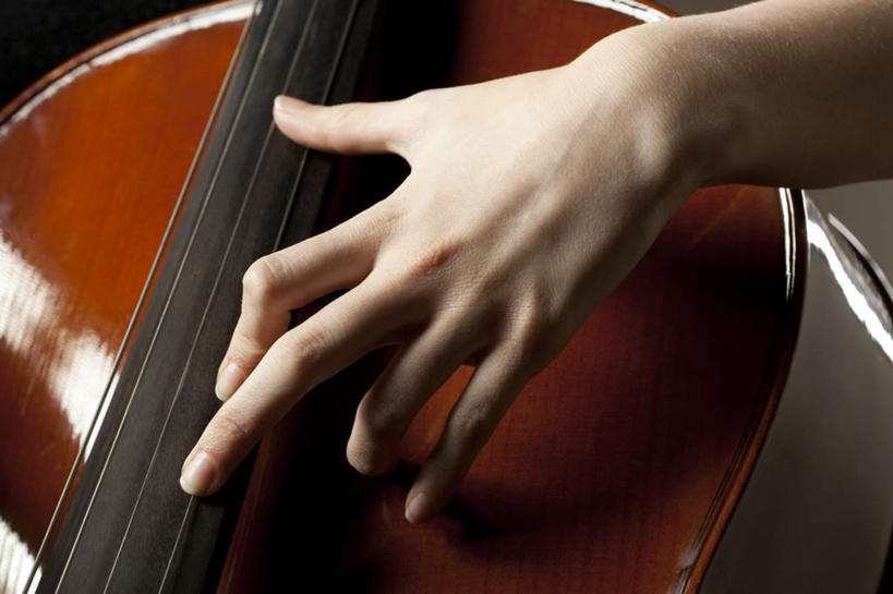 西方人,手,一个人,横图,室内,特写,白天,正面,欧洲,欧洲人,仅一个年轻女性,仅一个女性,仅一个人,阴影,反射,影子,大提琴,乐器,弦乐器,演奏,手部,摄影,影棚,单手,弓拉弦乐器,弓拉弦鸣乐器,年轻女性,女人,女性,白种人,半身,彩图,影棚拍摄,拍摄