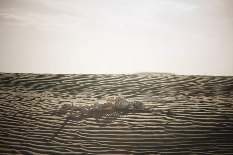 骨骼,无人,横图,室外,白天,正面,旅游,度假,美景,日落,沙漠,植物,美国,阴影,光线,影子,地平线,景观,晚霞,霞光,落日,辽阔,骨头,地面,娱乐,蓝色,绿色,蓝天,天空,阳光,自然,黄昏,天,享受,休闲,广阔,景色,彩霞,放松,生长,晴朗,成长,一望无际,骨架,北美,北美洲,犹他州,自然风光,延伸,美洲,万里无云,天地相交,北亚美利加洲,亚美利加洲,犹他,蜂窝之州,蜂房州,无边无际,一马平川,尸骨,夕照,大漠,砂漠,晴空,晴空万里,夕阳,彩图,斜阳