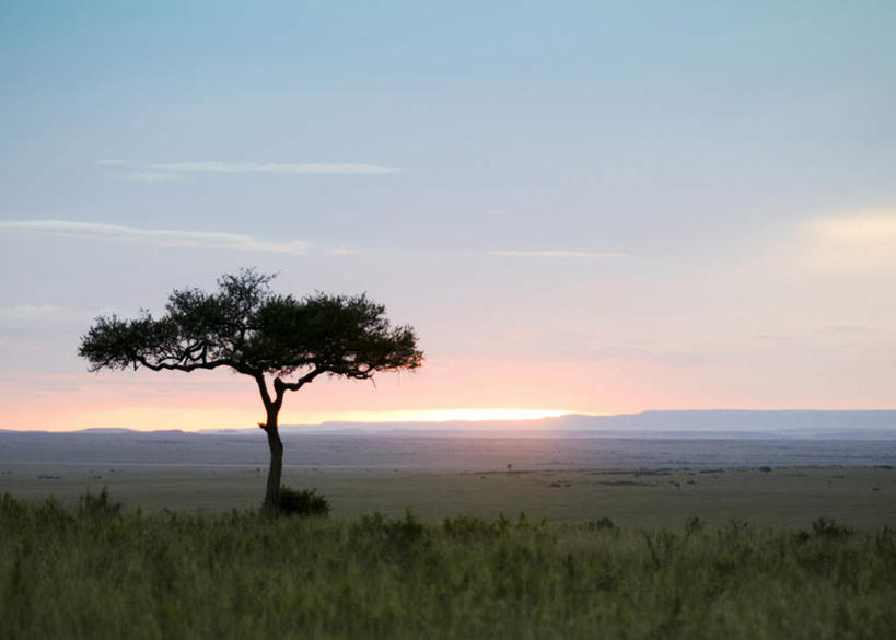 无人,横图,室外,白天,正面,快乐,草地,草坪,美景,日落,植物,非洲,肯尼亚,一棵,阴影,光线,影子,景观,晚霞,霞光,云,云朵,落日,云彩,草,树,树木,蓝色,绿色,白云,蓝天,天空,阳光,自然,黄昏,天,景色,彩霞,生长,晴朗,成长,自然风光,阿非利加洲,金合欢,鸭皂树,稍纵即逝,肯尼亚共和国,夕照,金合欢树,晴空,夕阳,彩图,全身,斜阳