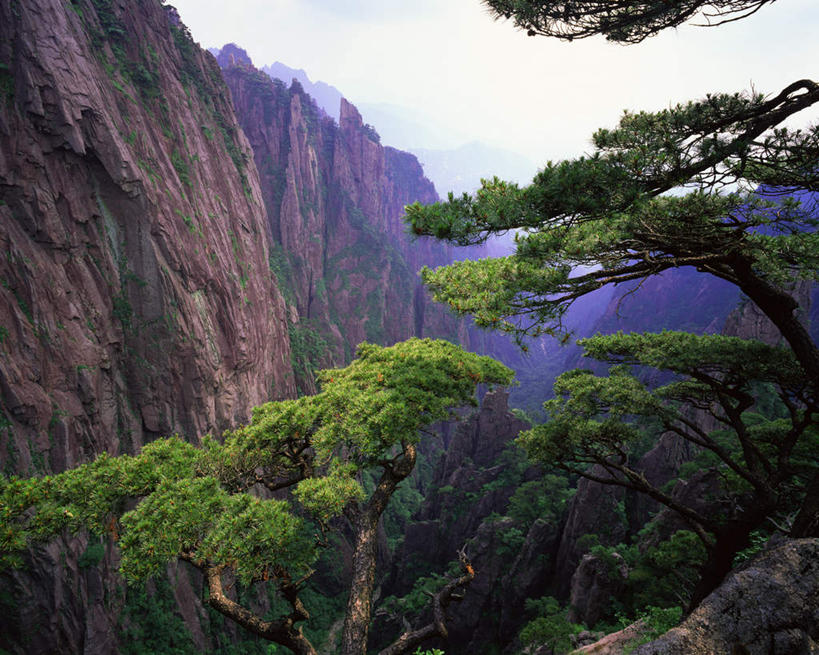 无人,横图,室外,白天,正面,旅游,度假,美景,山,山脉,树林,植物,阴影,光线,影子,景观,山峰,悬崖,山峦,娱乐,树,树木,绿色,天空,阳光,自然,群山,天,享受,休闲,景色,放松,生长,成长,自然风光,绝壁,彩图