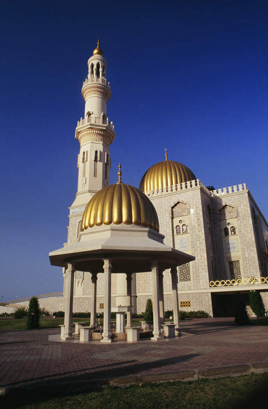 无人,竖图,室外,白天,仰视,旅游,度假,植物,标志建筑,地标,建筑,阿曼,亚洲,阴影,节日,光线,影子,文化,娱乐,建设,树,树木,蓝色,绿色,蓝天,天空,阳光,自然,天,祈祷,享受,休闲,健康,旅游胜地,放松,许愿,宗教,信仰,生长,晴朗,成长,纪念,祈求,伊斯兰教,清真寺,西亚,万里无云,阿曼苏丹国,平安,晴空,晴空万里,彩图,低角度拍摄