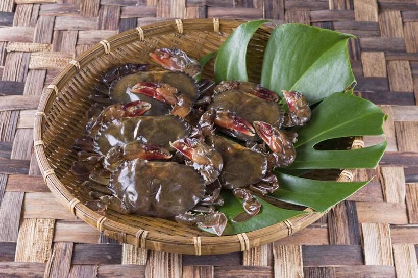 海鲜,蟹,无人,交叉,横图,俯视,室内,特写,白天,烹饪,竹子,叶子,一排,许多,竹制,整齐,编织,螃蟹,篮子,日本料理,料理,食品,绿叶,水产,菜肴,美食,食物,排列,竹篮,日式料理,日式,嫩叶,摄影,佳肴,影棚,竹条,交织,竹制品,队列,海产品,青蟹,穿插,和乐蟹,黄甲蟹,锯缘青蟹,蝤蛑,蟳,闸蟹,叶,叶片,彩图,高角度拍摄,影棚拍摄,拍摄