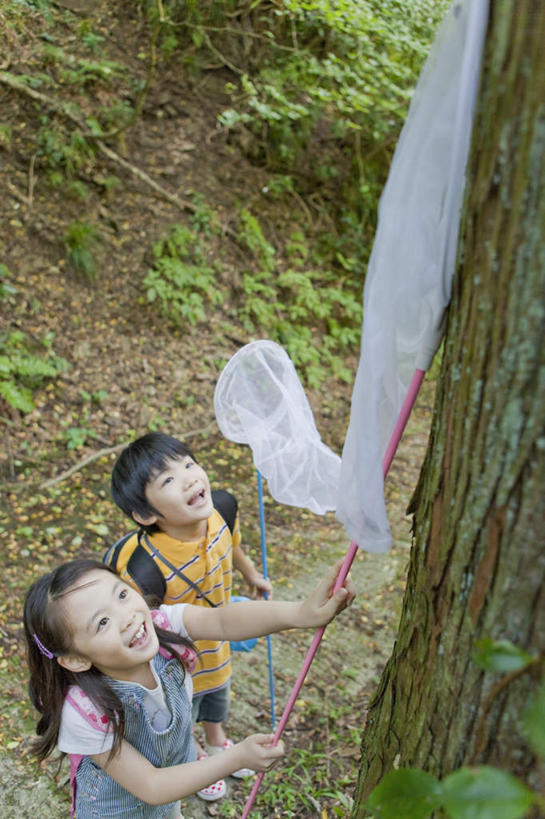 东方人,儿童,两个人,站,竖图,室外,白天,正面,纯洁,树林,植物,亚洲,捕虫网,拿,拿着,黄种人,树,树木,小孩,绿色,自然,站着,日本人,可爱,童年,童趣,生长,成长,扫网,水网,童真,烂漫,无邪,扑网,天真,男孩,男人,男性,女孩,女人,女性,亚洲人,孩子,抬头,仰头,站立,半身,彩图,男生,女生