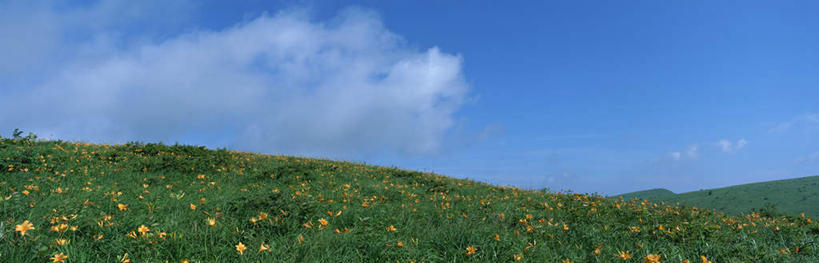 无人,横图,全景,室外,白天,仰视,旅游,度假,草地,草坪,美景,山,山脉,天际线,植物,萱草,长野县,日本,亚洲,盛开,景观,山峰,云,云朵,山峦,花蕾,云彩,娱乐,草,花,花瓣,花朵,鲜花,绿色,白云,天空,自然,群山,天,花苞,花蕊,享受,休闲,景色,放松,清新,自然风光,东亚,本州,本州岛,日本国,中部地方,长野,诹访,彩图,低角度拍摄
