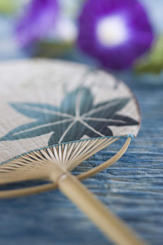 无人,竖图,俯视,室内,特写,白天,爱情,喇叭花,叶子,三朵,朦胧,模糊,盛开,扇子,折扇,纸扇,绿叶,清凉,花蕾,凉爽,文化,花,花瓣,花朵,鲜花,一个,紫色,夏天,花苞,花蕊,嫩叶,单个,虚幻,永恒,牵牛,牵牛子,勤娘子,碧冬茄,朝颜花,灵芝牡丹,撒扇,冷静,牵牛花,叶,叶片,彩图,高角度拍摄,传统文化