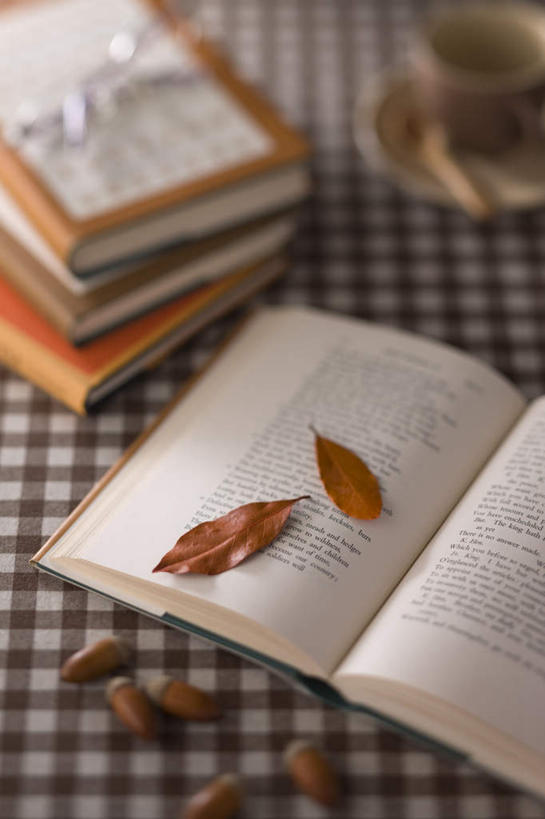 咖啡,无人,竖图,俯视,室内,特写,白天,杯子,餐具,书籍,叶子,一排,许多,朦胧,模糊,整齐,瓷器,碟子,盘,果子,枯叶,落叶,咖啡杯,陶瓷制品,排列,盘子,碟,堆,队列,瓷杯,橡果,叶,叶片,书,图书,彩图,高角度拍摄