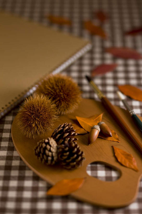 无人,竖图,俯视,室内,特写,白天,秋季,书籍,叶子,油画,阴影,朦胧,模糊,笔,影子,板栗,栗子,坚果,枯叶,落叶,松果,办公用品,文具,画笔,学习用品,文具用品,调色板,叶,叶片,书,图书,秋,秋天,彩图,高角度拍摄