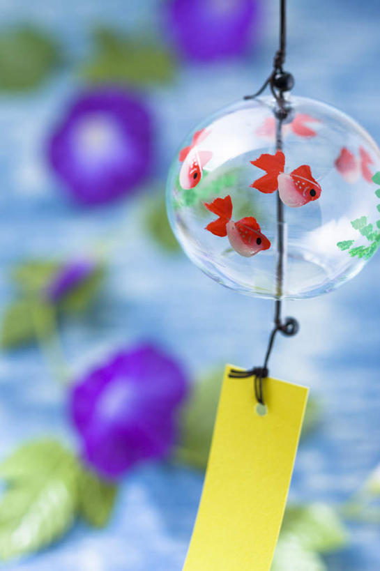 无人,竖图,室内,特写,白天,正面,爱情,植物,喇叭花,风铃,三朵,悬挂,朦胧,模糊,日本文化,盛开,花蕾,文化,花,花瓣,花朵,鲜花,紫色,花苞,花蕊,虚幻,东亚文化,藤蔓植物,永恒,牵牛,牵牛子,勤娘子,碧冬茄,朝颜花,灵芝牡丹,冷静,牵牛花,占风铎,彩图,传统文化