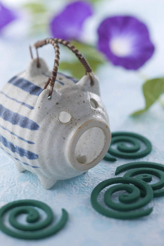 无人,竖图,室内,特写,白天,正面,爱情,喇叭花,叶子,三朵,朦胧,模糊,盛开,壶,蚊香,蚊香猪,绿叶,驱蚊,花蕾,水壶,花,花瓣,花朵,鲜花,一个,紫色,茶壶,夏天,花苞,花蕊,四个,嫩叶,单个,虚幻,盘香,永恒,牵牛,牵牛子,勤娘子,碧冬茄,朝颜花,灵芝牡丹,冷静,牵牛花,叶,叶片,彩图