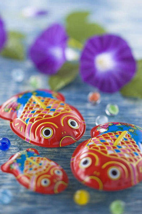 无人,竖图,室内,特写,白天,正面,爱情,纯洁,喇叭花,玩具,叶子,三朵,三只,朦胧,模糊,盛开,金鱼,玩偶,绿叶,花蕾,花,花瓣,花朵,鲜花,三个,夏天,花苞,花蕊,嫩叶,可爱,童年,童趣,虚幻,童真,烂漫,无邪,永恒,牵牛,牵牛子,勤娘子,碧冬茄,朝颜花,灵芝牡丹,冷静,天真,牵牛花,叶,叶片,彩图