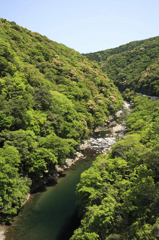无人,竖图,俯视,室外,白天,旅游,度假,河流,美景,山,山脉,树林,水,植物,日本,亚洲,阴影,光线,影子,河水,景观,山峰,水流,山峦,娱乐,树,树木,蓝色,绿色,蓝天,天空,阳光,自然,群山,天,享受,休闲,景色,放松,生长,成长,自然风光,东亚,日本国,九州本岛,九州,九州岛,九州地方,宫崎,宫崎县,彩图,高角度拍摄