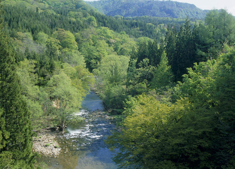 无人,横图,俯视,室外,白天,旅游,度假,河流,美景,山,山脉,树林,水,植物,日本,亚洲,阴影,光线,影子,河水,景观,山峰,水流,山峦,娱乐,树,树木,蓝色,绿色,蓝天,天空,阳光,自然,群山,天,享受,休闲,景色,放松,生长,成长,自然风光,东亚,本州,本州岛,日本国,青森,青森县,东北地方,白神山地,彩图,高角度拍摄