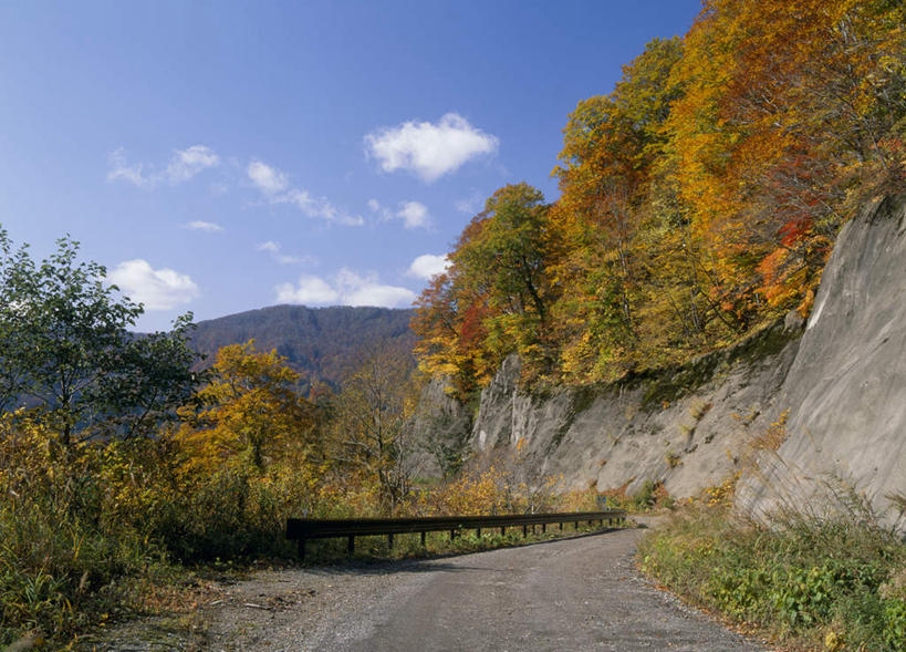 无人,横图,室外,白天,正面,旅游,度假,美景,山,树林,植物,道路,路,日本,亚洲,阴影,光线,影子,景观,山峰,云,云朵,小路,交通,山峦,云彩,娱乐,树,树木,蓝色,绿色,白云,蓝天,天空,阳光,自然,天,享受,休闲,景色,放松,生长,成长,自然风光,东亚,本州,本州岛,日本国,青森,青森县,东北地方,白神山地,彩图
