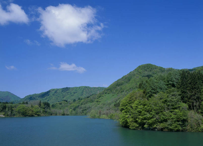 无人,横图,室外,白天,正面,旅游,度假,湖,湖泊,美景,树林,水,植物,日本,亚洲,阴影,光线,影子,湖面,景观,水流,水面,云,云朵,云彩,娱乐,树,树木,蓝色,绿色,白云,蓝天,天空,阳光,自然,湖水,天,享受,休闲,景色,放松,生长,成长,自然风光,东亚,本州,本州岛,日本国,青森,青森县,东北地方,白神山地,彩图